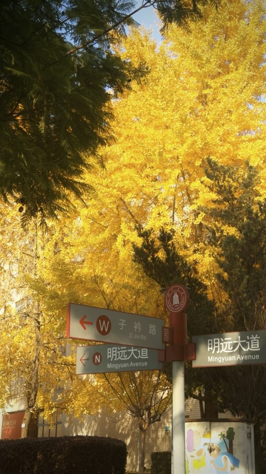 which road do you choose ?