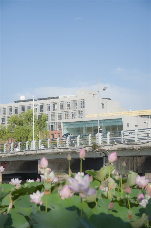 《校园一隅》· 一尾