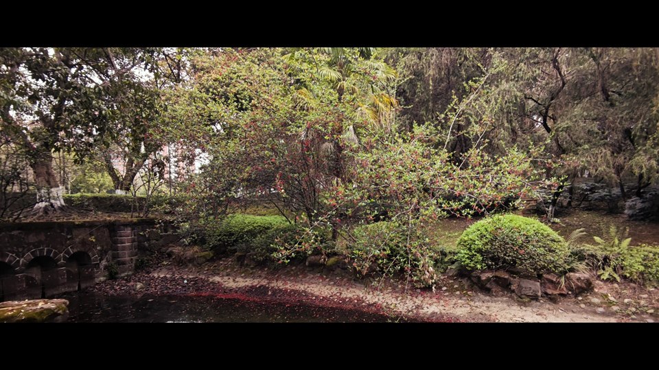 《绿&粉》· 简尔
