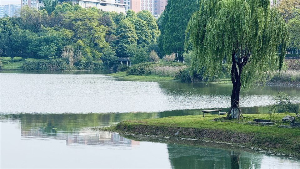 春天你慢点走，你孕育的画意诗情我还未看够。
留些时光，让我把这满眼的诗意，酿成往后日子里回甘的念头。
投稿：忘烦泥