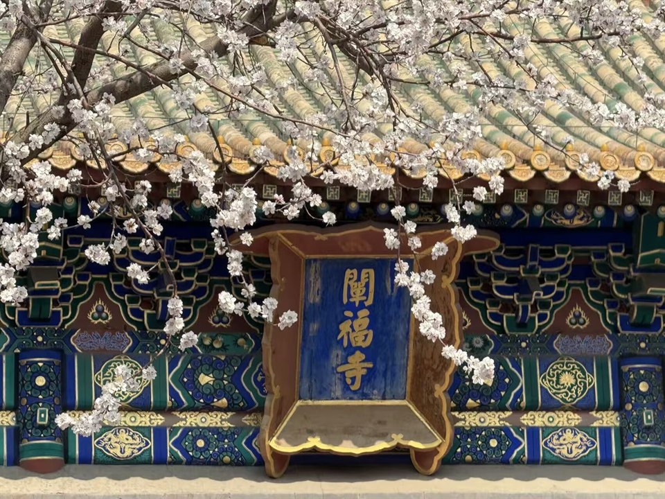 《美》· 杜焱