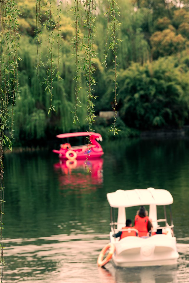《樱满公园》· Azp
