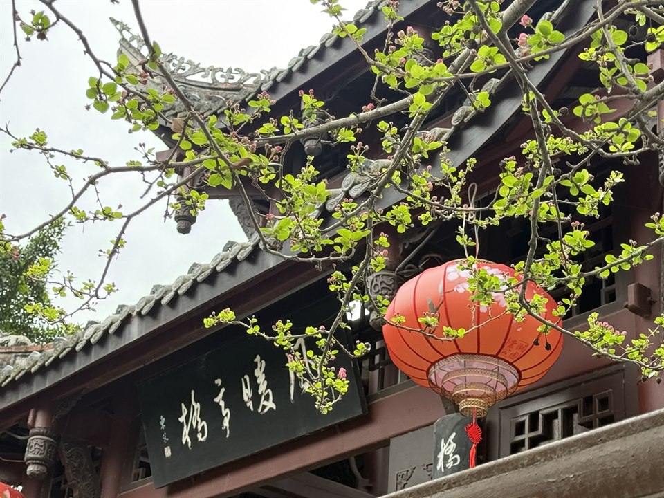 《海棠🌸》· 杜焱