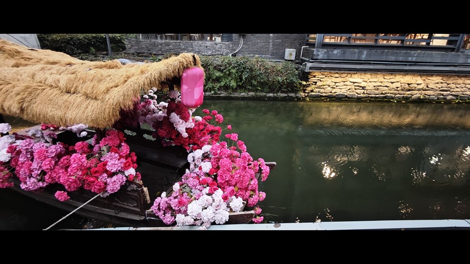 《绿&粉》· 简尔