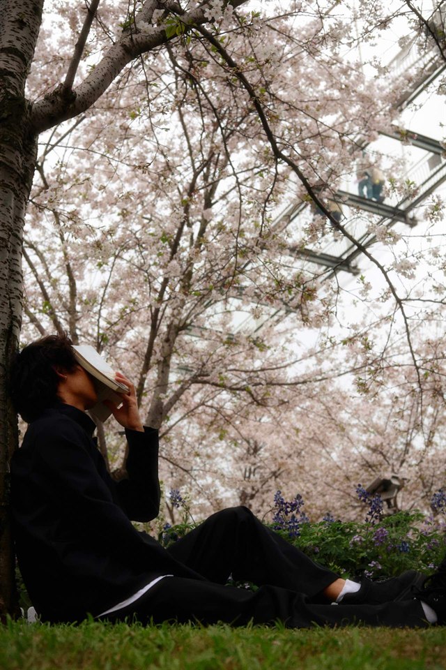 《樱花飘落的速度是每秒五厘米》· 卡乐C